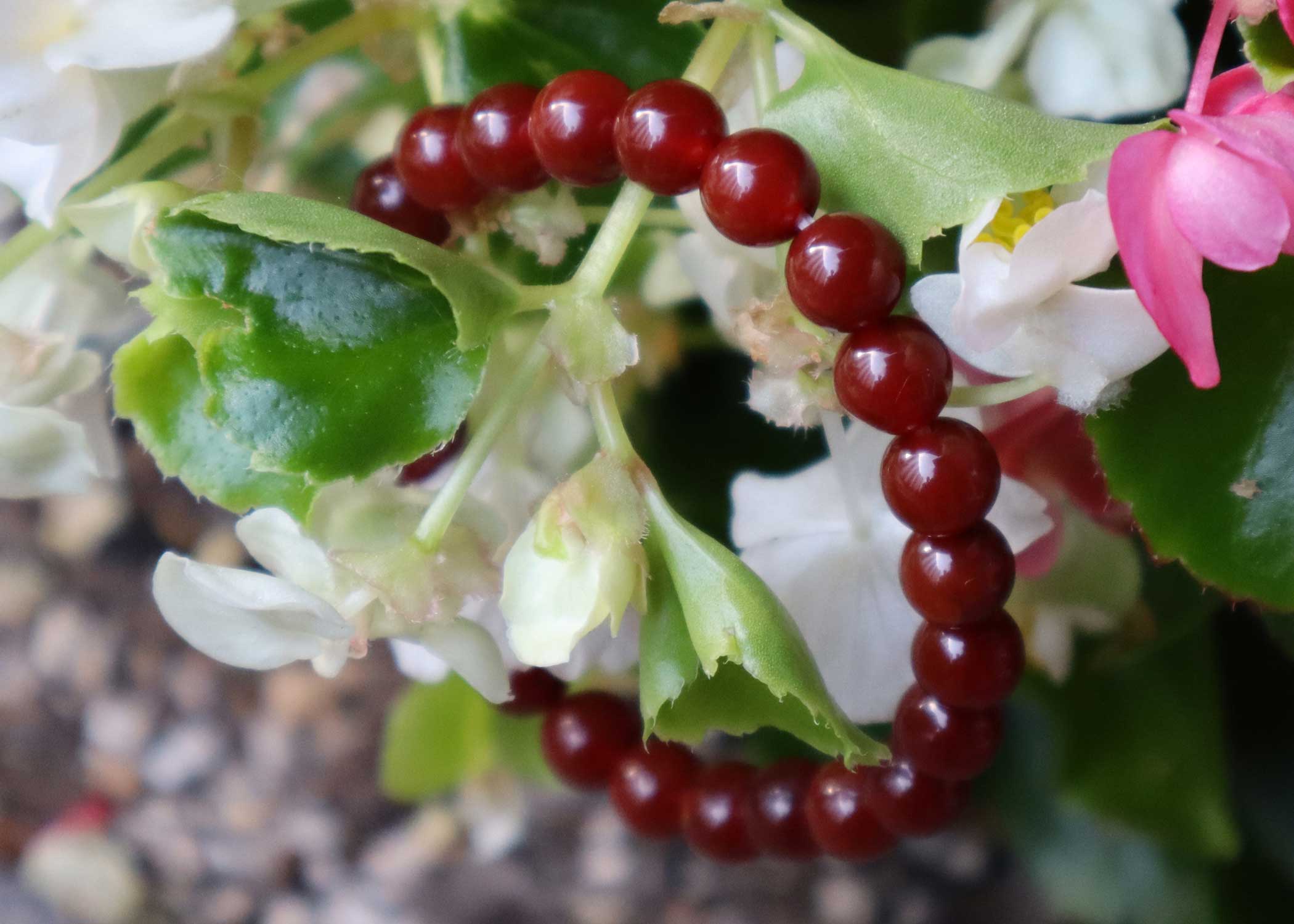 Carnelian Bracelet - Image 4